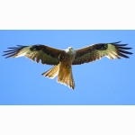 20210614 RM 1 DSC05989.jpg